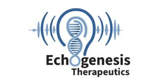 Echogenesis Therapeutics